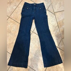 Pilcro and the letterpress for Anthropologie Blue Flared Jeans size 26